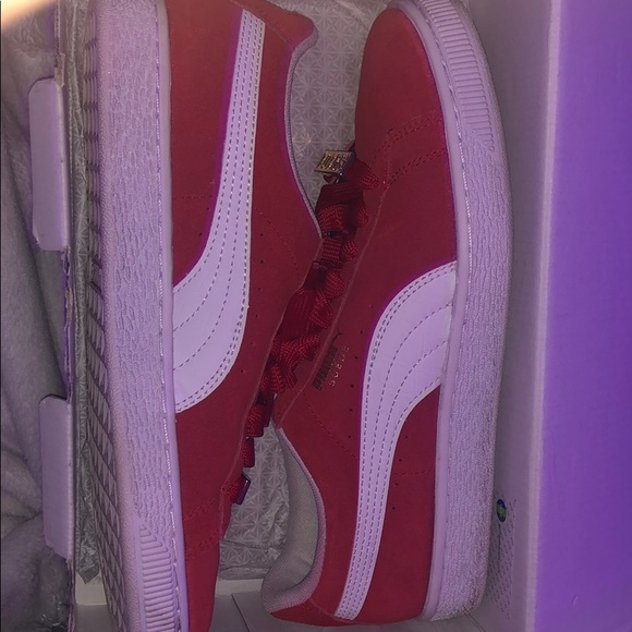 Red pumas - Picture 3 of 4